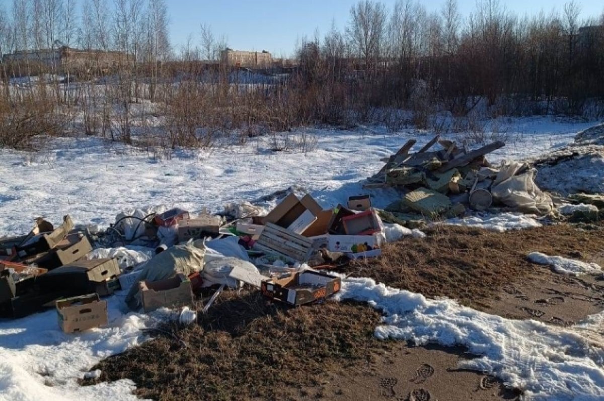    Незаконную свалку ликвидировали в Сормовском районе Нижнего Новгорода