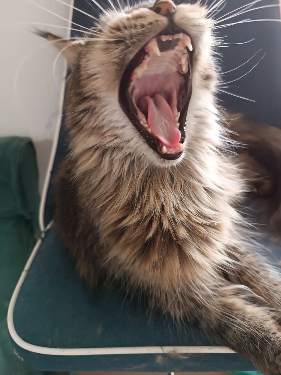 Урсула требует, чтобы ей читали сказки перед сном. Уже зевает