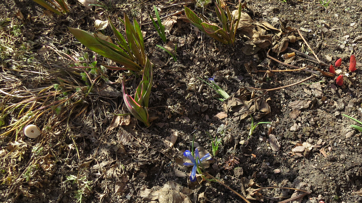 До уборки. Вот что это за круглая фигня валяется?