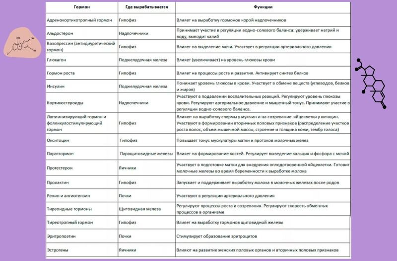 Проявления гиперандрогении. Что такое андрогены?