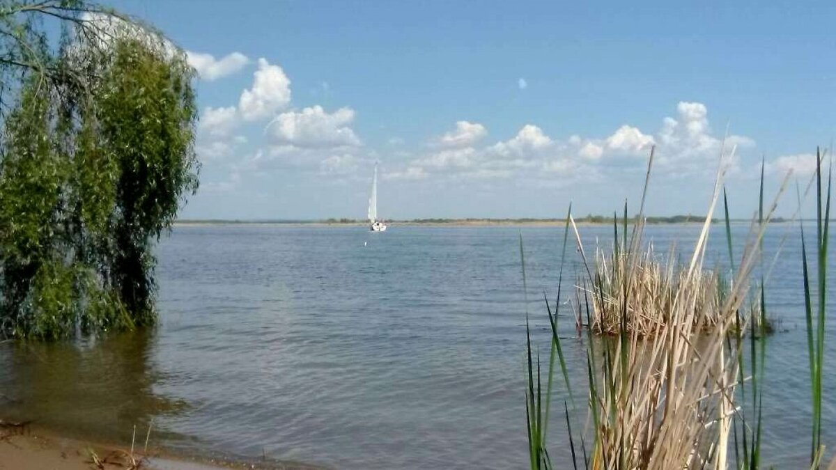    Спасатели эвакуировали с острова на Волге 2 детей и взрослыхНовости Саратова и области – Сетевое издание «Репортер64»