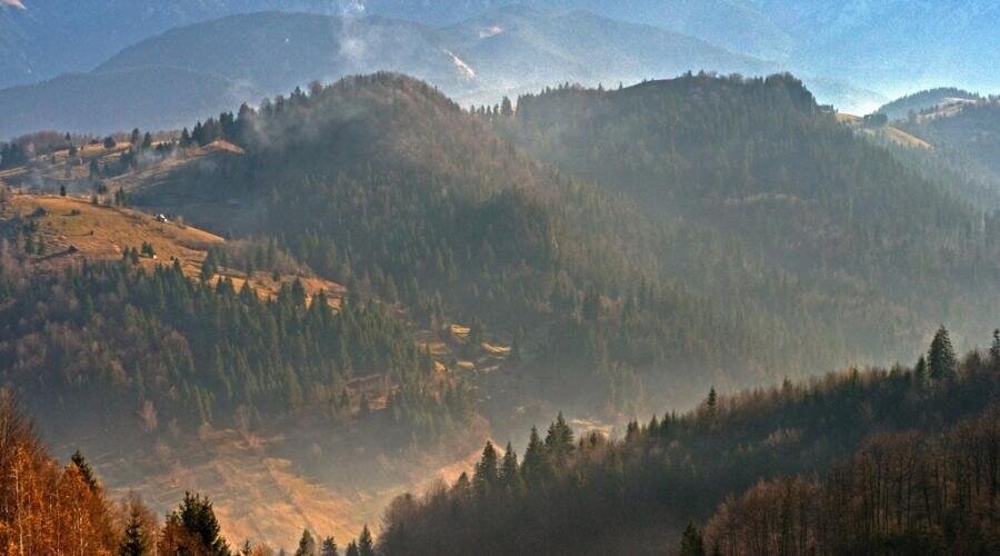   Карпаты Фото: по лицензии PxHere