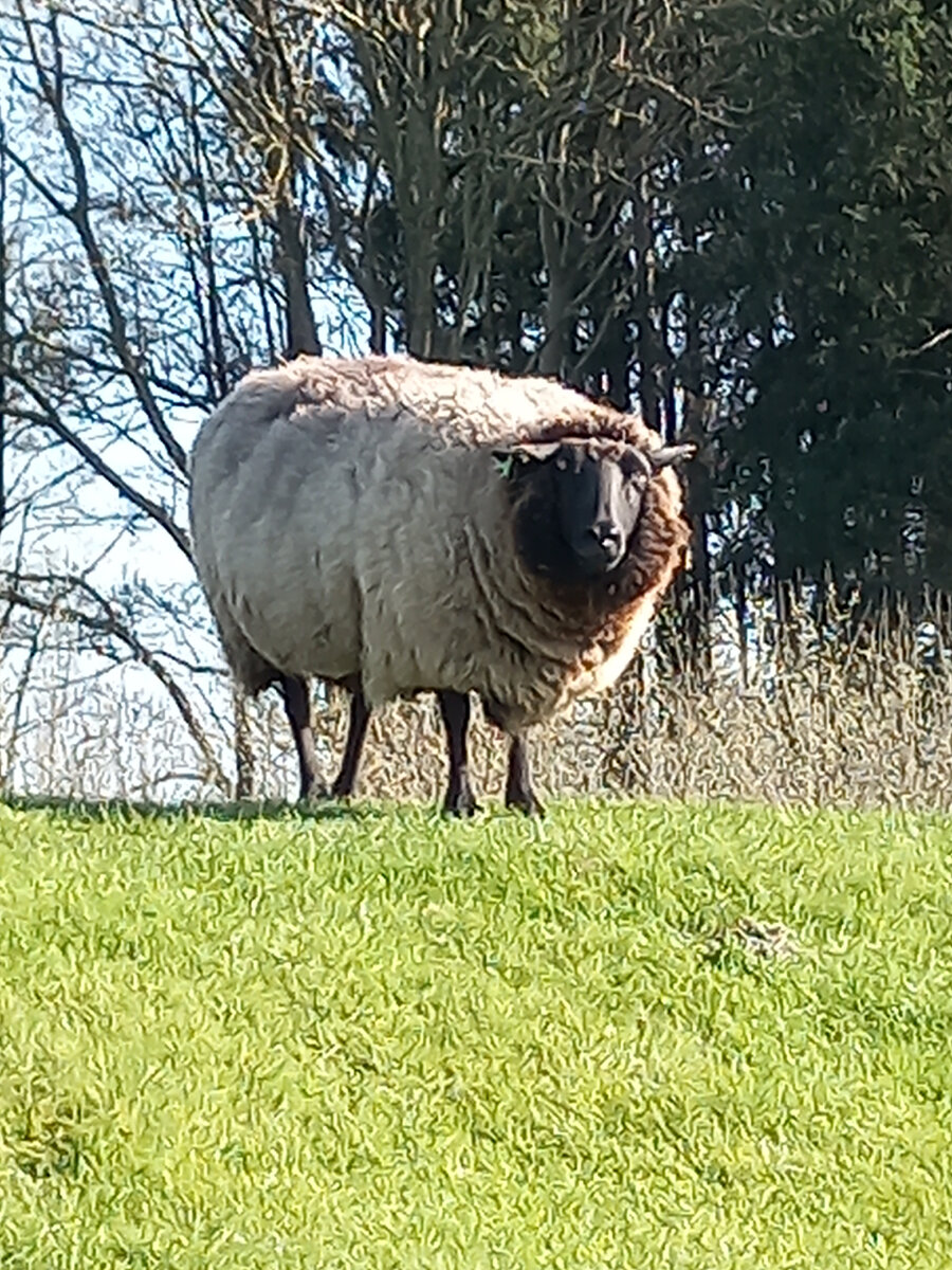 Я уже немного освоилась 🤣🤣