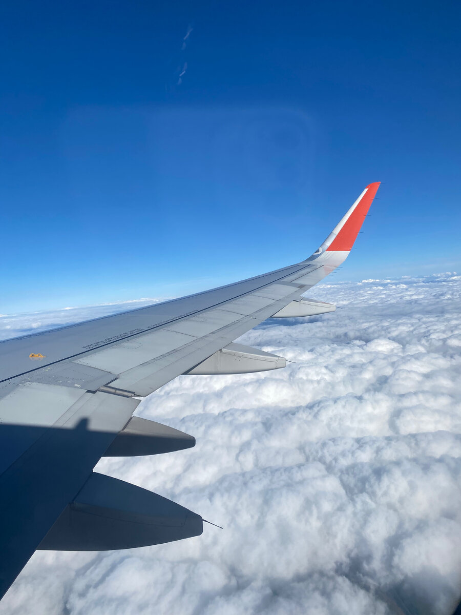 Фото: Ксения Вахрушева