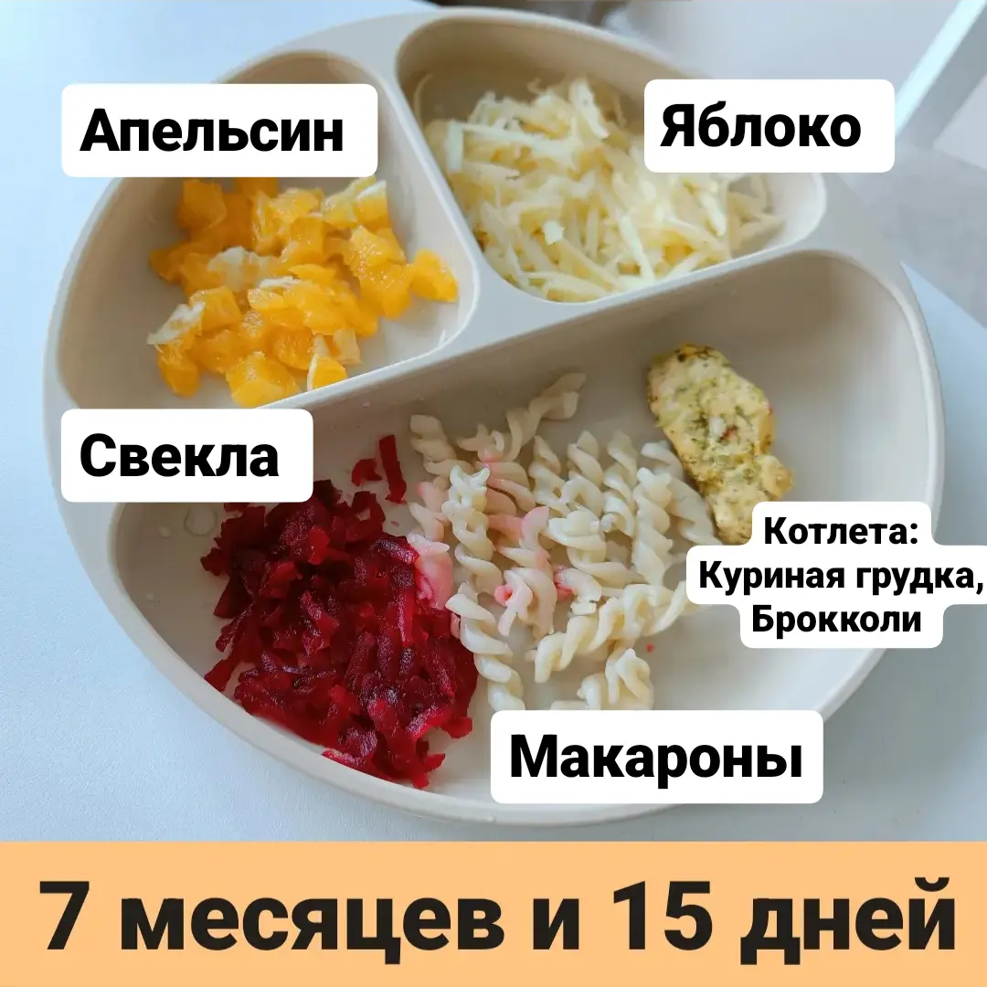 Пример тарелки в 7 месяцев 