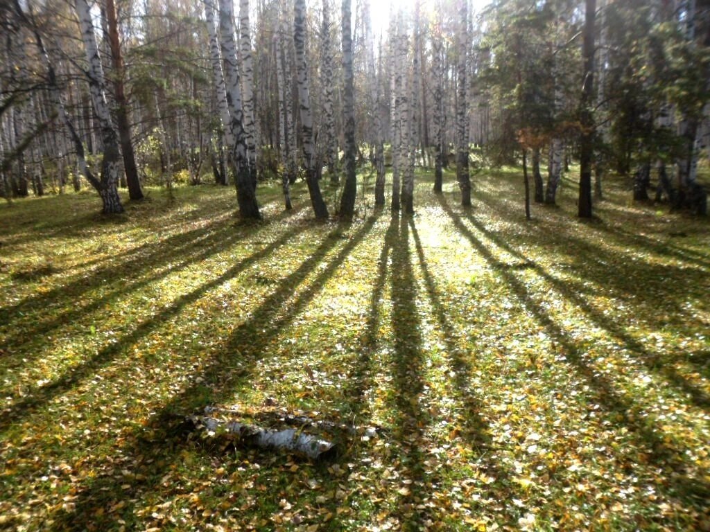 Природа Сибири - это живые пейзажи