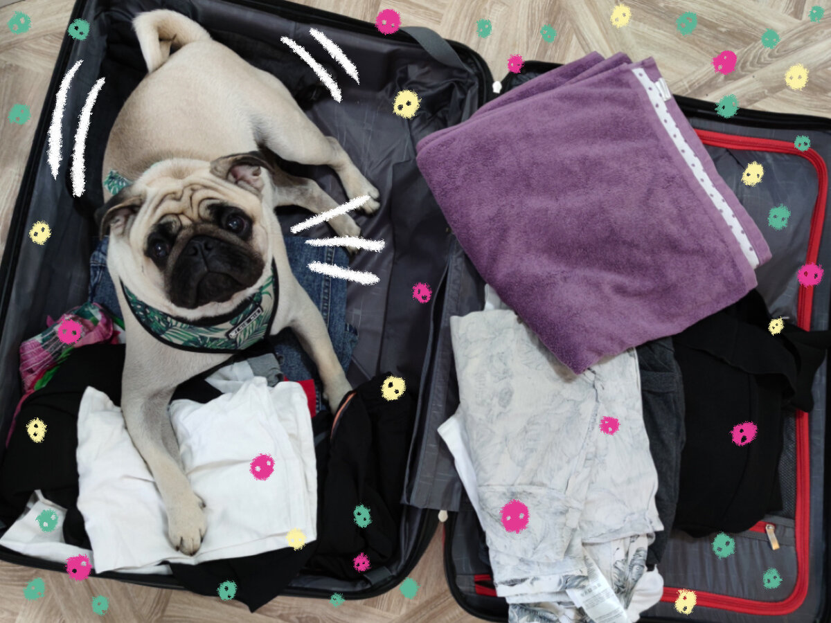 Выражение индивидуальности