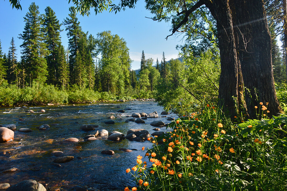 Фото из открытого доступа