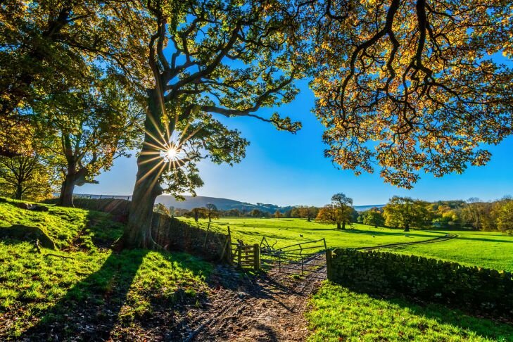 Фото: Pixabay