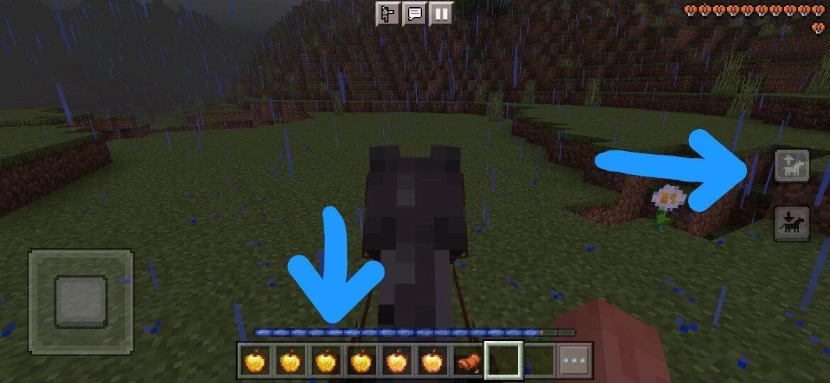 Как приручить лошадь в Minecraft?