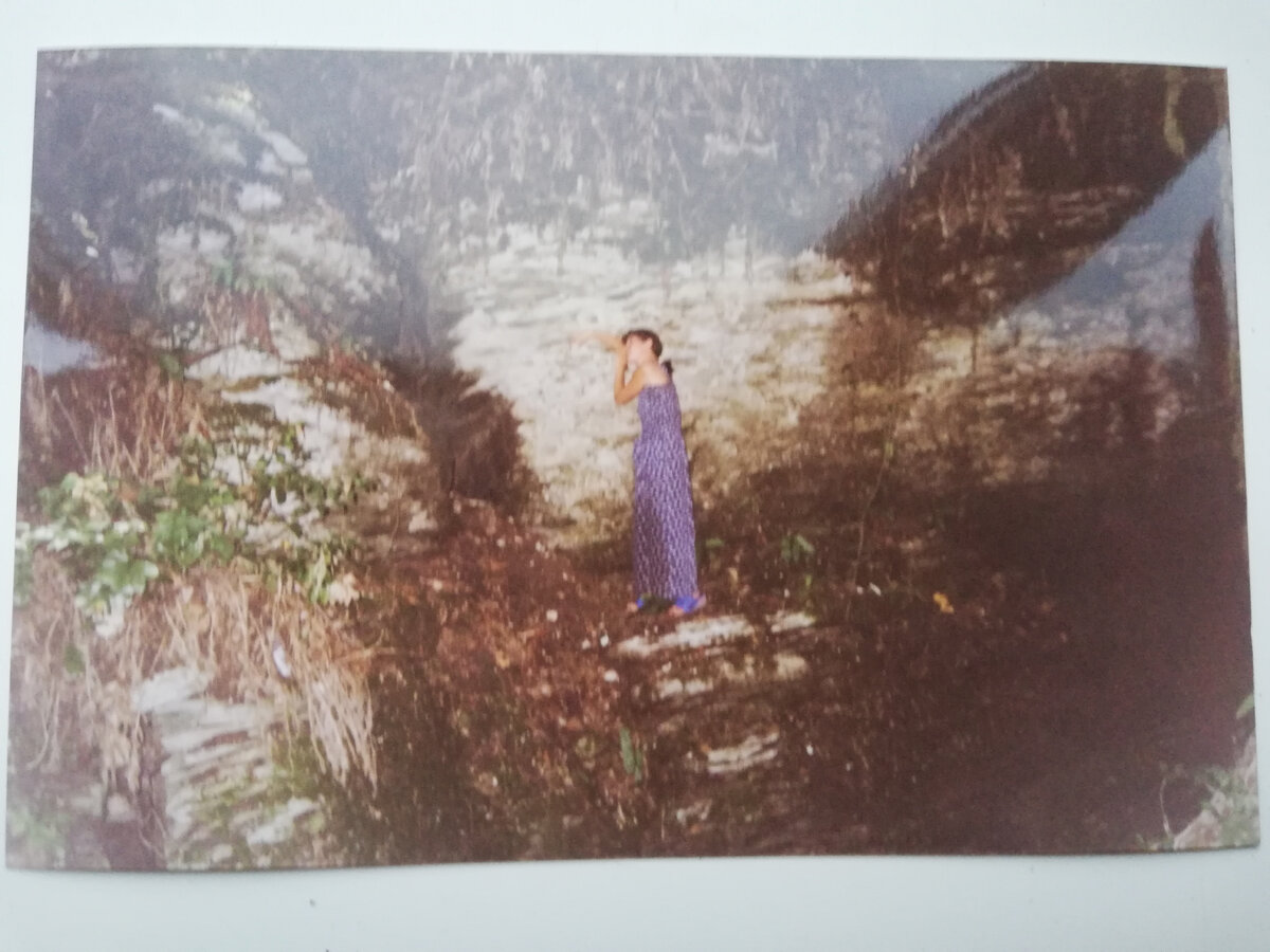 В Тисо-самшитовой роще. Фотография 1999 года. Потом еще раз побывали  там через пять лет. А потом отдыхали в Турции много лет подряд. 