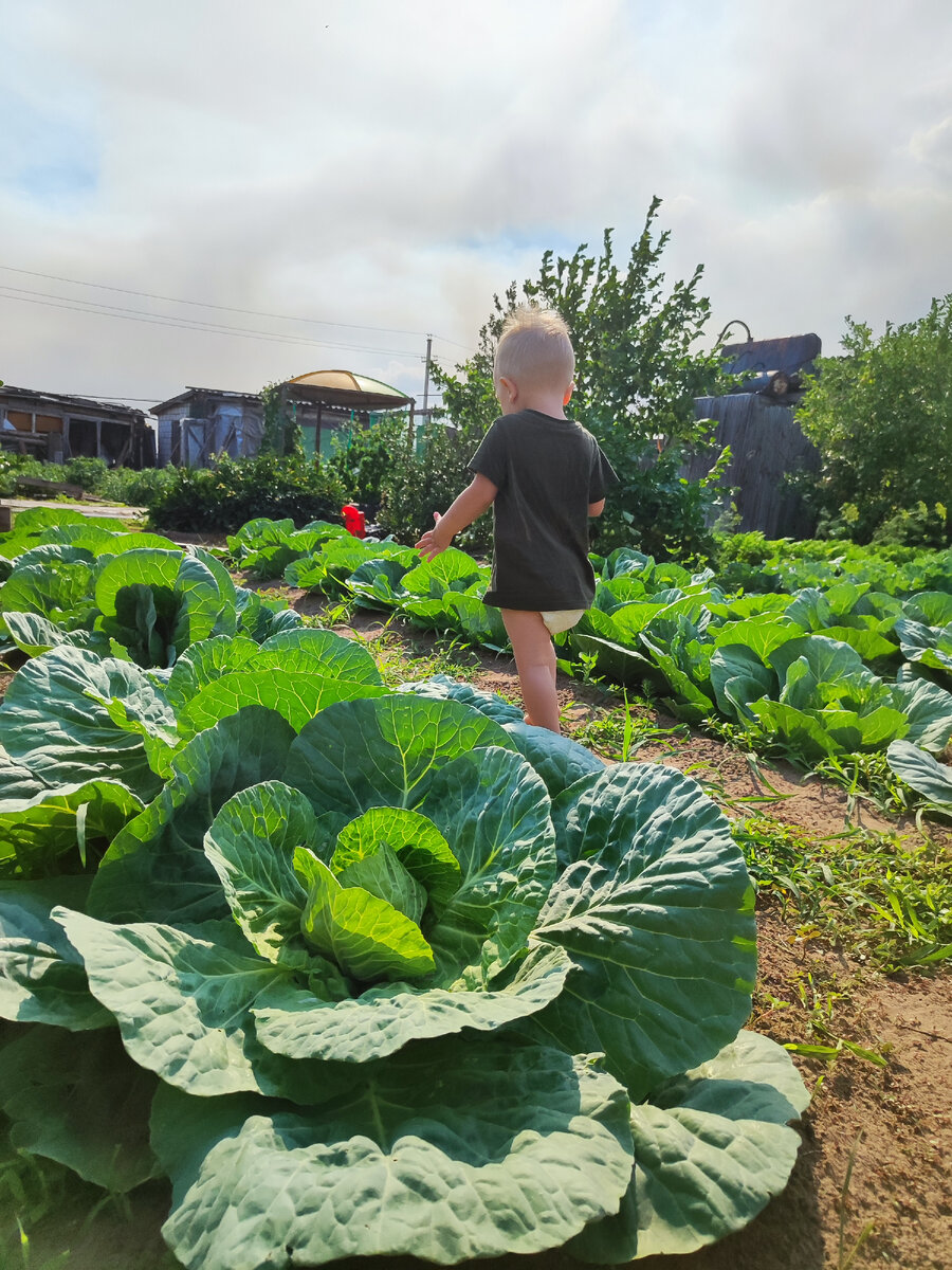 Рома деревенский мальчишка с головы до ног 