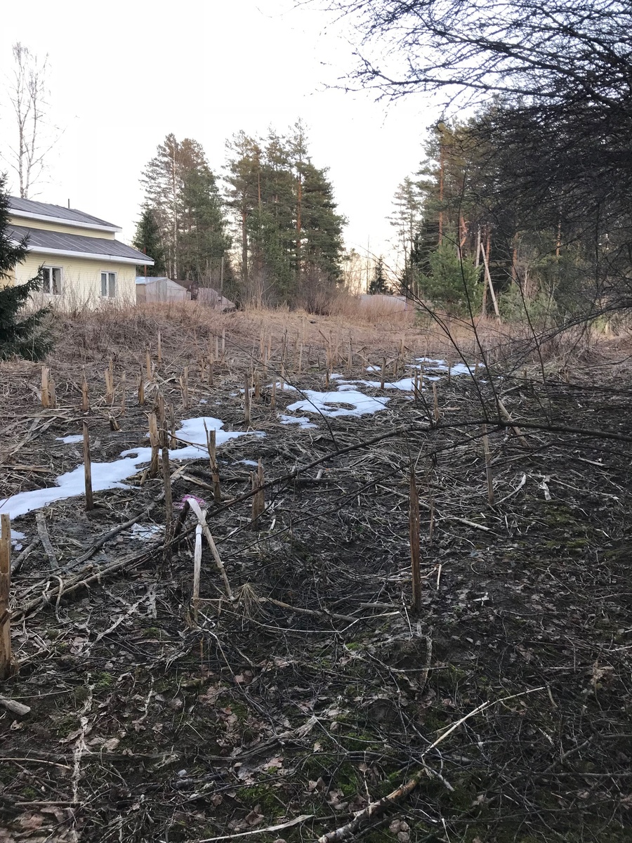 Это что у нас  было 