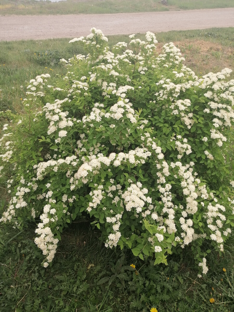 Личное фото