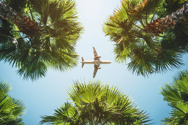 Источник: www.istockphoto.com
