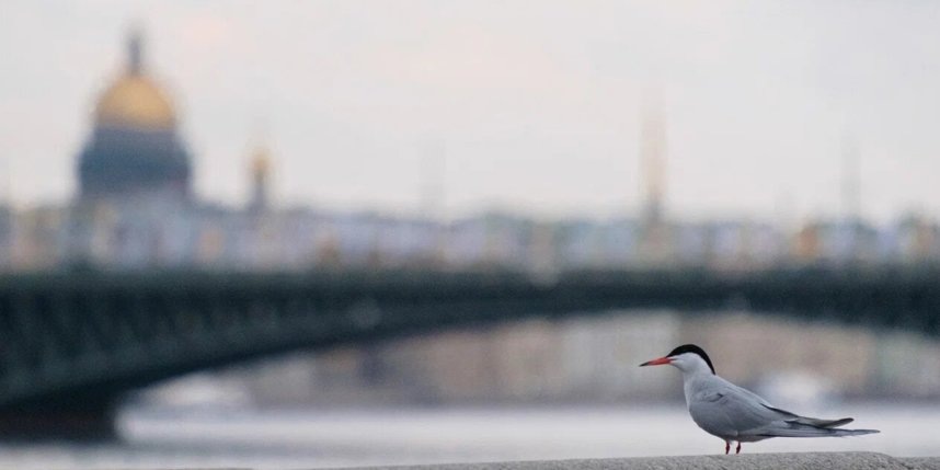    Фото: Алена Бобрович.