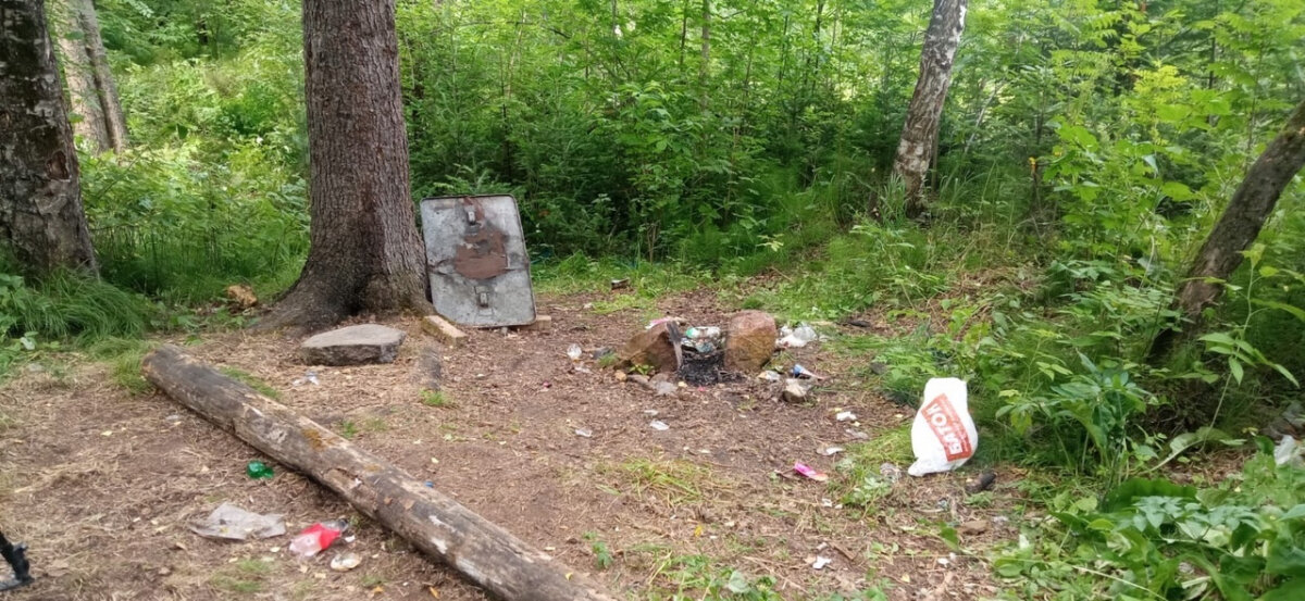 убитая девочка дивногорск