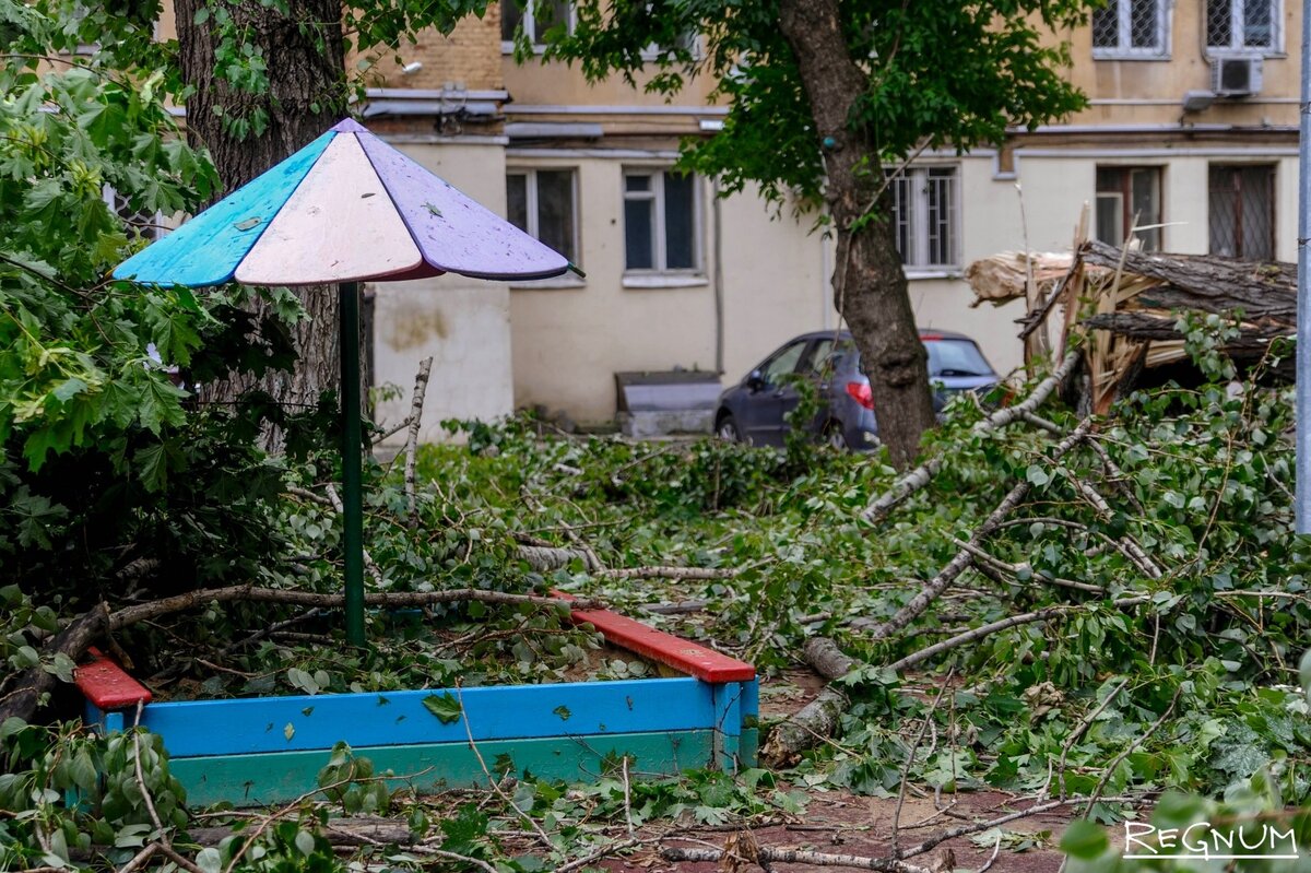    Последствия урагана Дарья Антонова © ИА REGNUM