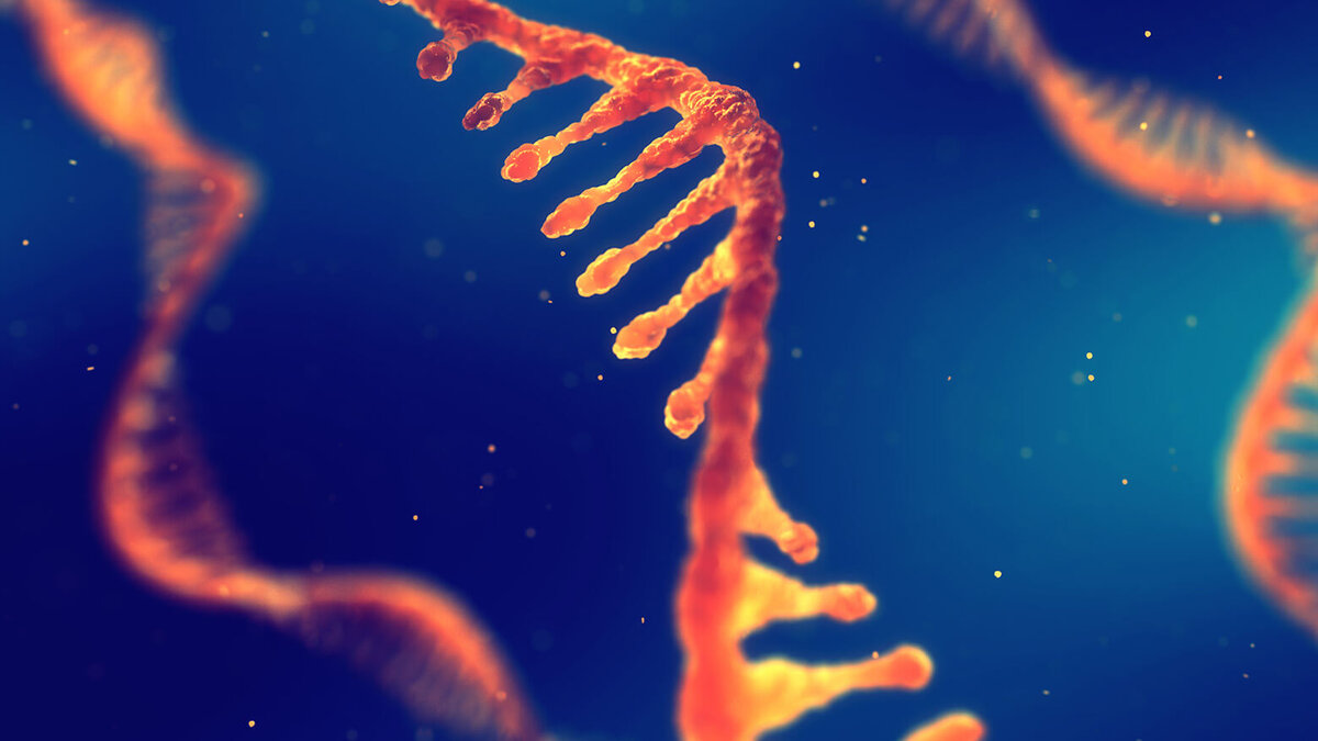 Общий предок всей жизни на Земле - репликатор