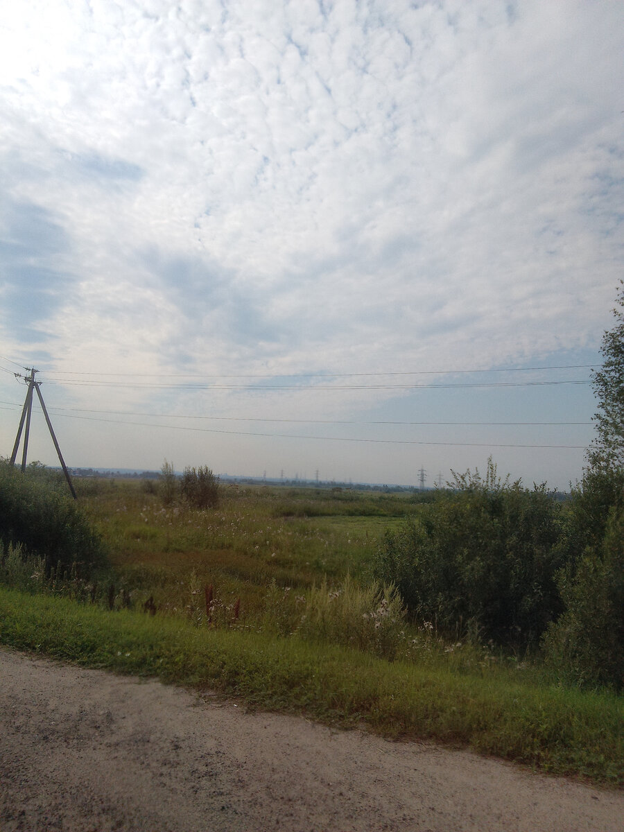 Фото автора. В пути... 