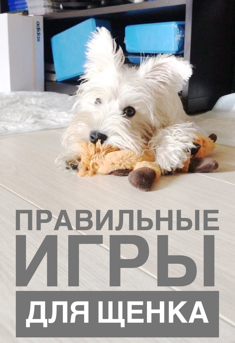Эни училась правильным играм с первых дней у нас😌