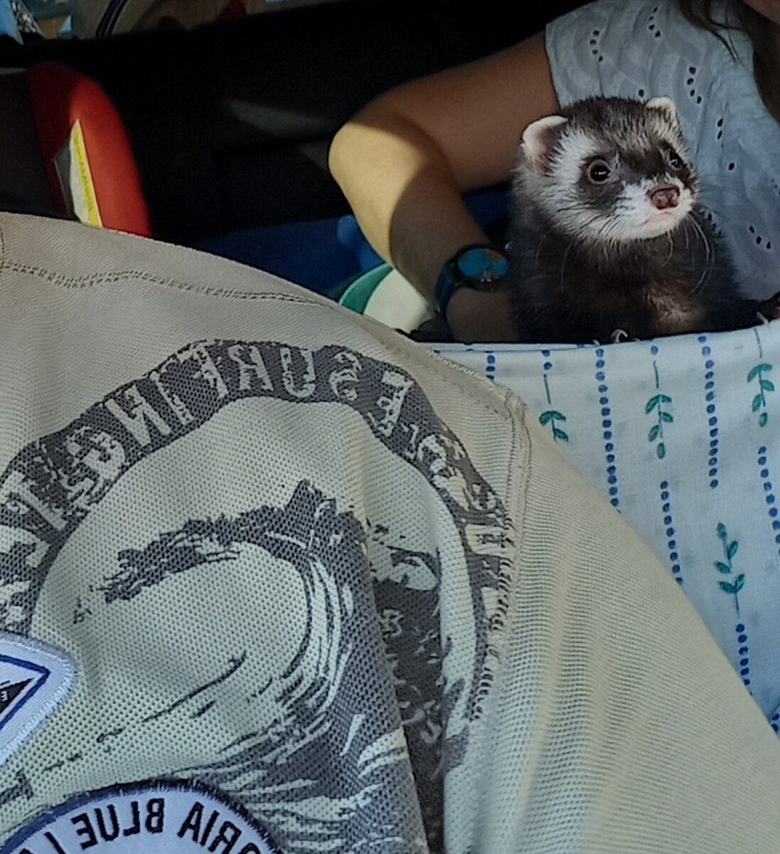 Мила едет в гамаке