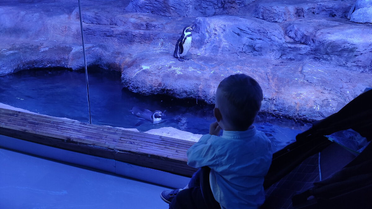 Личное фото автора