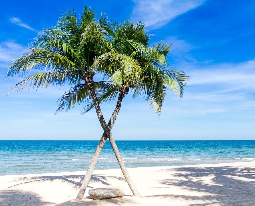 Фото: pixabay.com