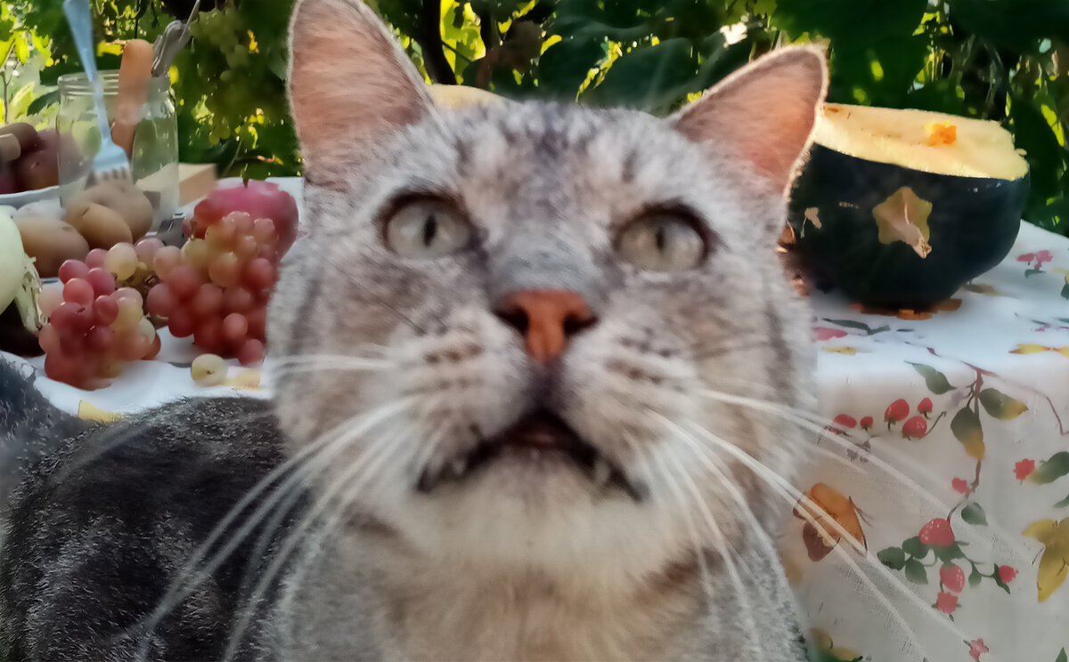 Выглядел он и правда стареньким. Не по годам.