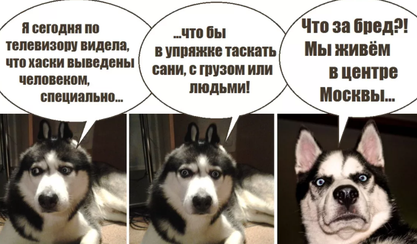 Скриншот автора.