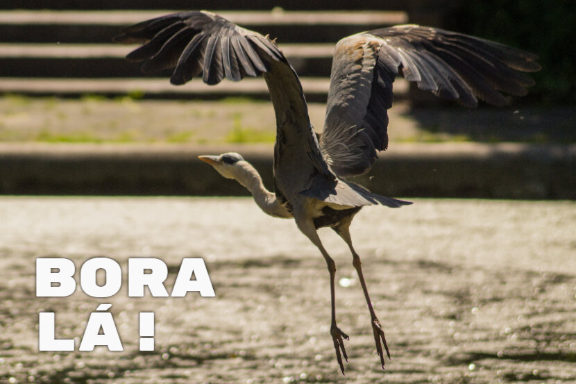 Bora lá! - В добрый путь! Поехали! Начинаем! Вперед!  Дословный перевод начну с конца.