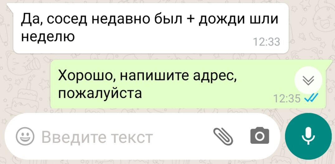 В детстве я совсем не любил грибы, не ел ни в каком виде, но собирать обожал.-2