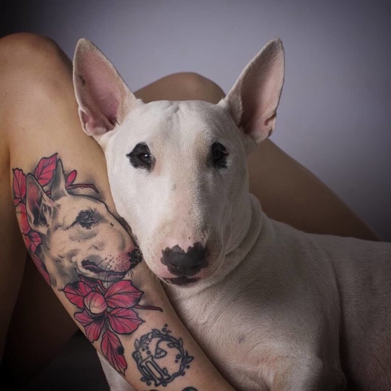Тату Собака: фото, эскизы и значение татуировки для мужчин и девушек