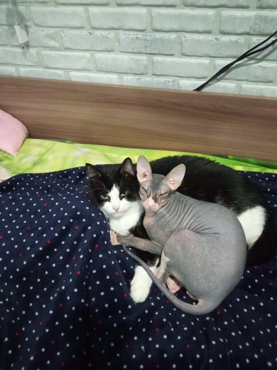 Мы так хорошо спали.