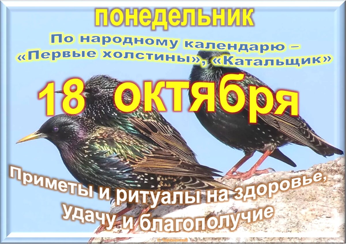 Встречаем новый день