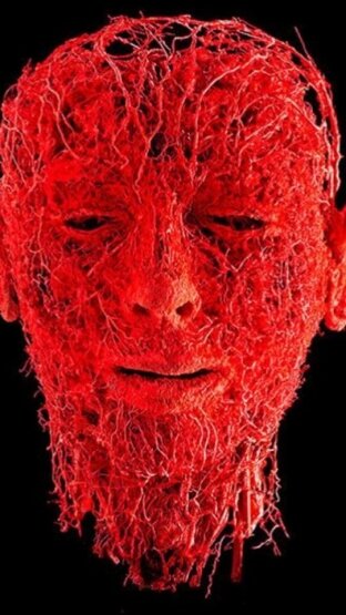 Избежать небольших синяков и покраснения кожи после инъекций практически невозможно, поэтому убедитесь в том, что вы выбираете подходящее время для процедуры и образовавшиеся на какое-то время гематомы не помешают вашему привычному образу жизни.