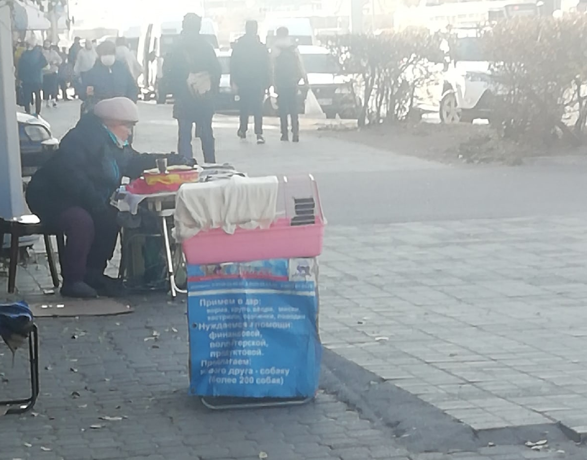 Наш баннер