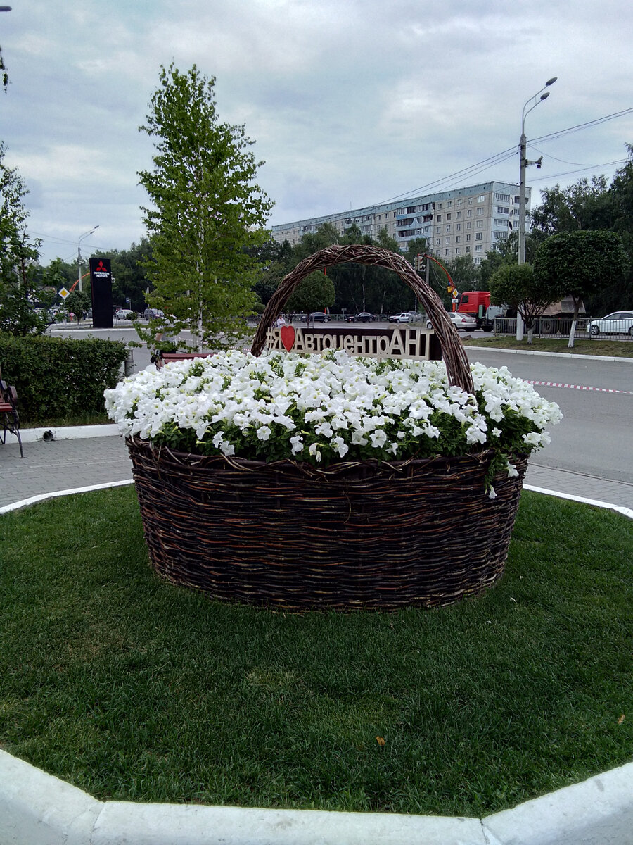 красота ушедшего лета