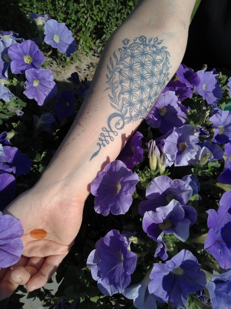 тату. цветок жизни