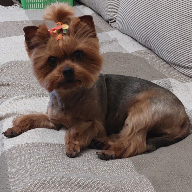 Бусинке 5 лет 6 мес.