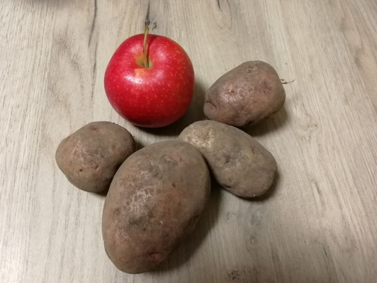 Картофель лучше хранить я яблоками