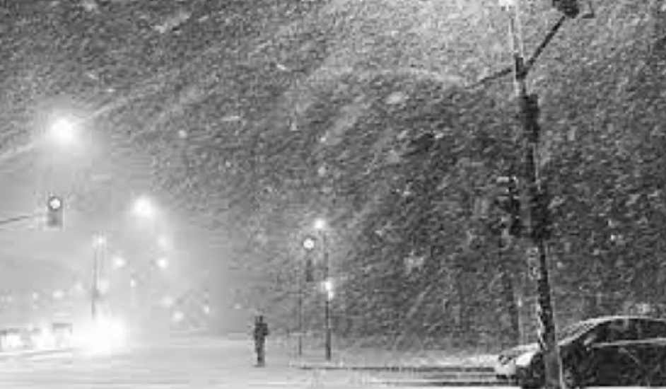 Фото — lyubimiigorod.ru