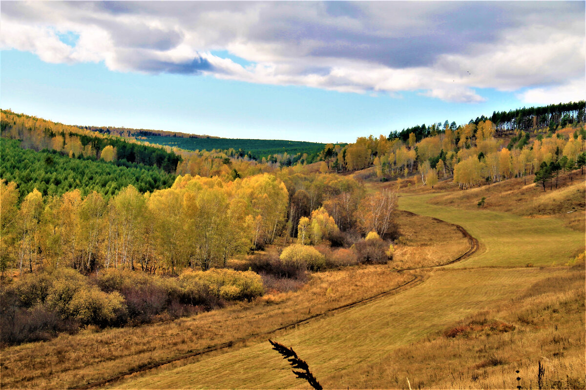 Дорога на ручей