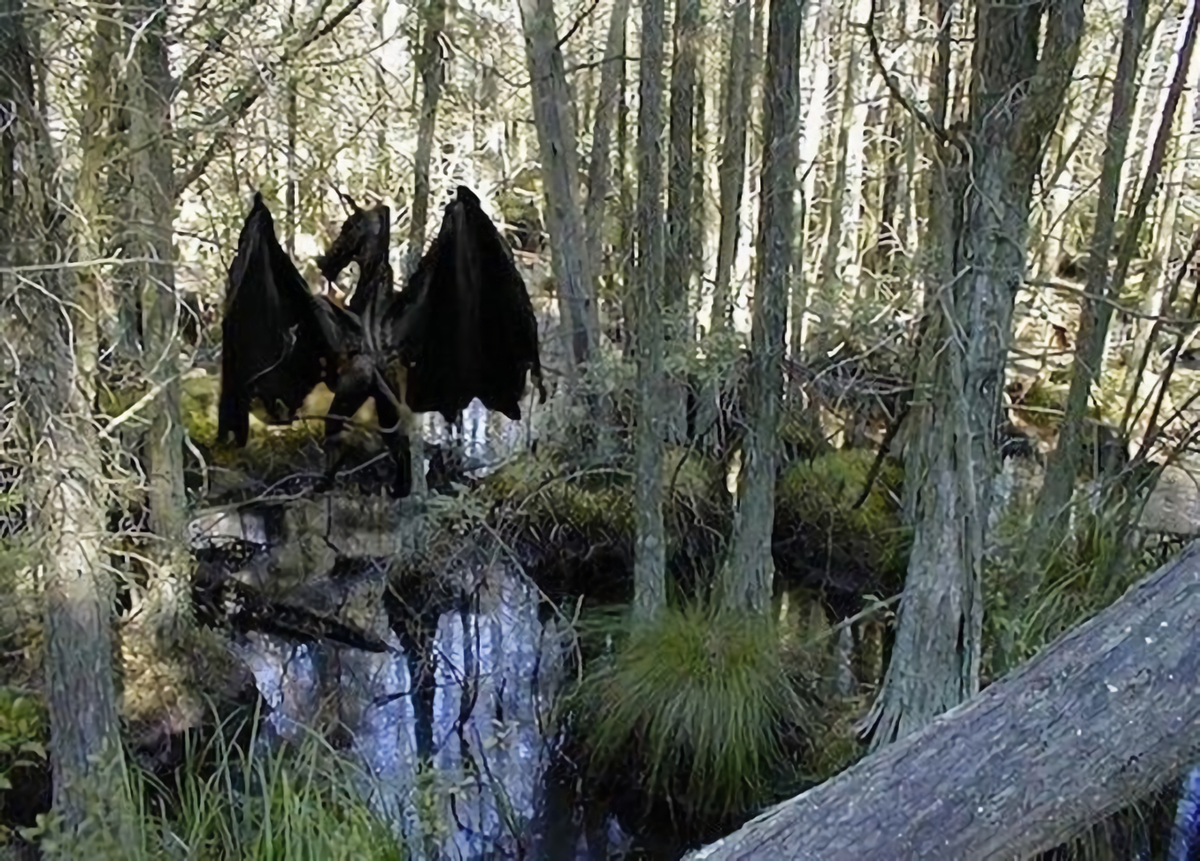 Предполагаемый снимок Демона из Джерси, 1998 год