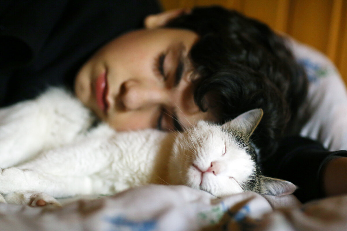 Существует ряд болезней, которые могут передаваться от кошки к человеку. Поэтому такой аспект нельзя игнорировать, особенно если у человека довольно слабое здоровье.