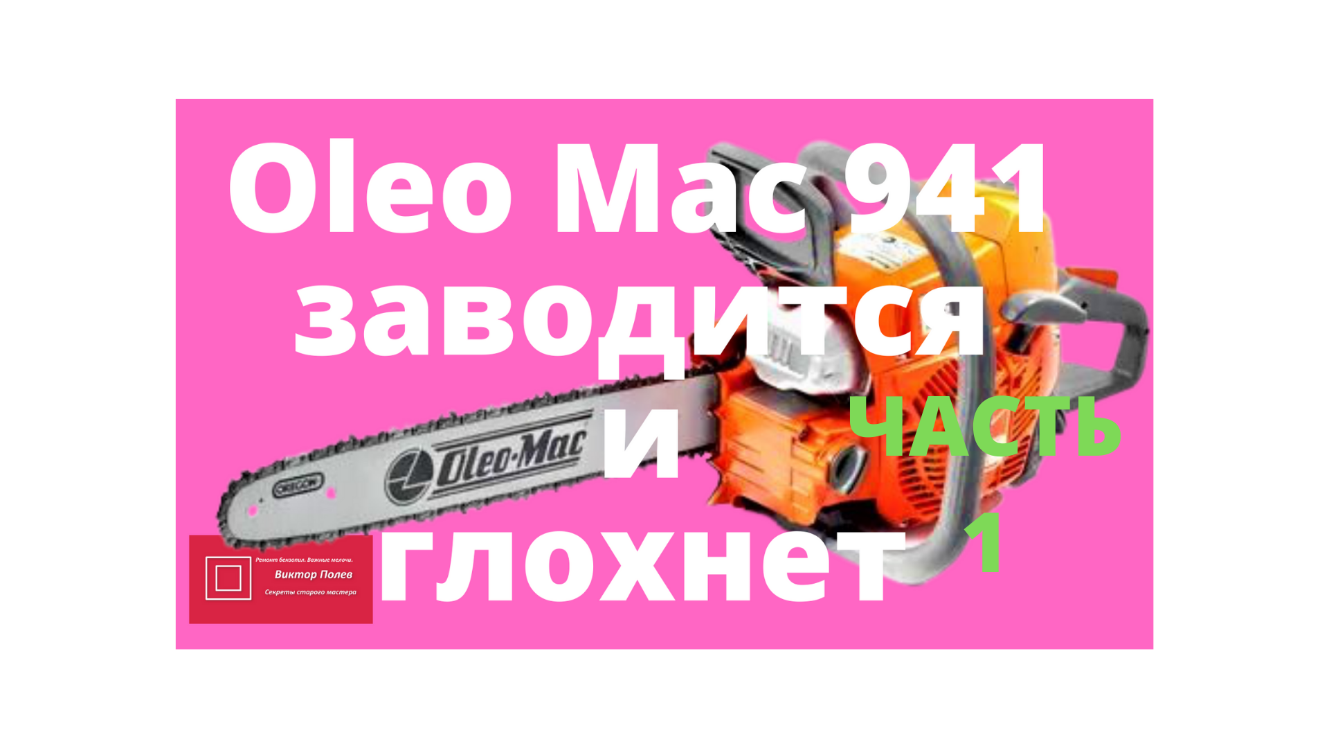 Ремонт бензопил Oleo-Mac