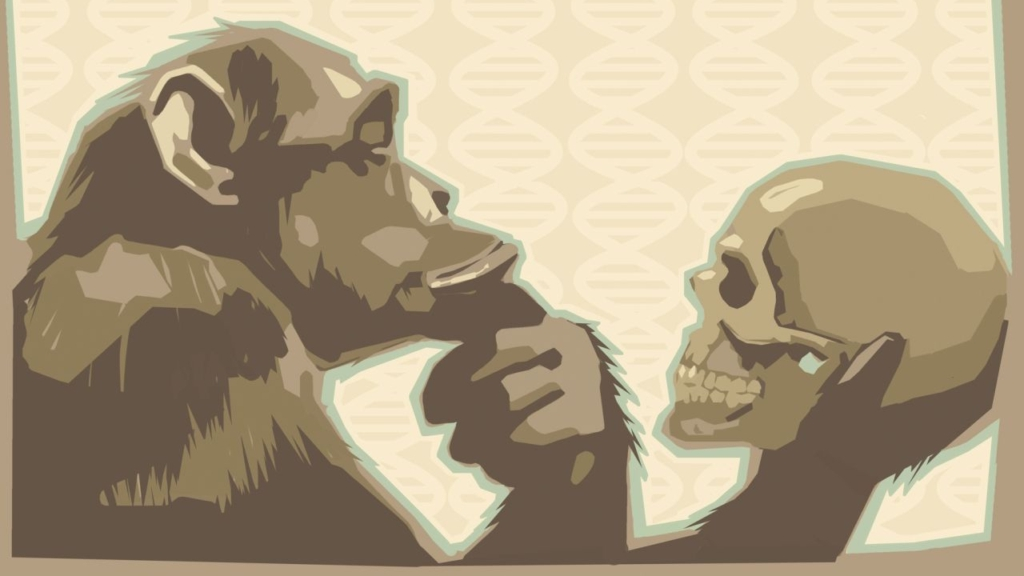 Источник: livrezon.com