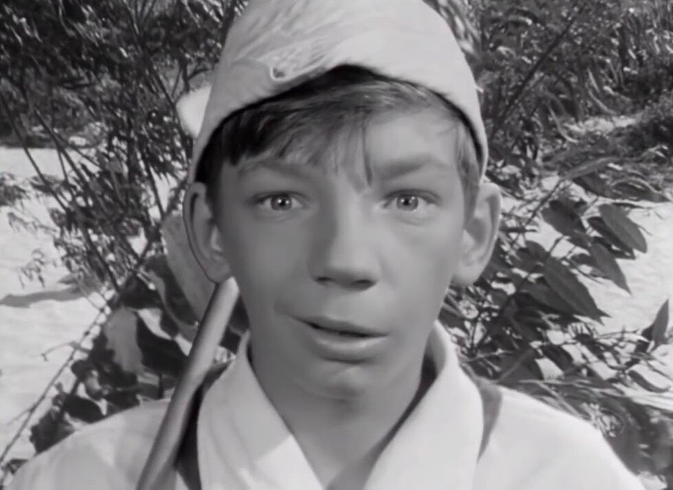 Кадр из фильма "Добро пожаловать, или Посторонним вход воспрещён"