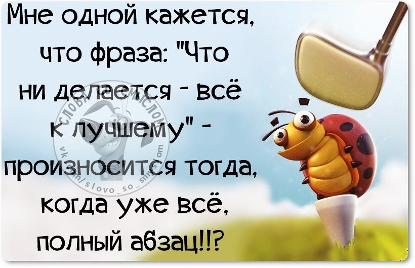 Смешные картинки про смысл жизни. Статусы про жизнь прикольные. Смешные цитаты со смыслом. Цитаты со смыслом прикольные. Слова со смыслом в картинках.