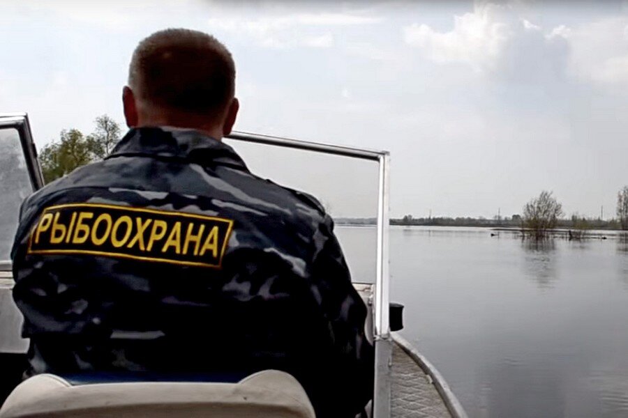 Фото из источников